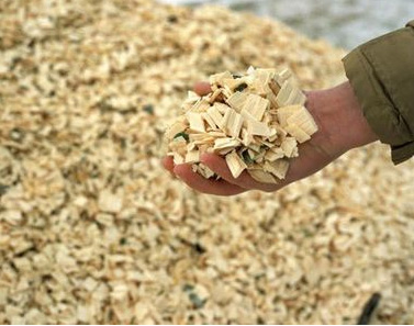 Uniform Biomass