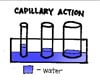 capillary action