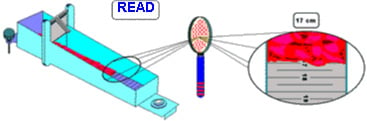 Reading a Bostwick Consistometer test result