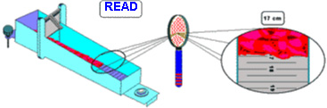 Reading a Bostwick Consistometer