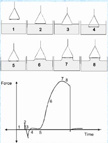 duNouy Ring Method