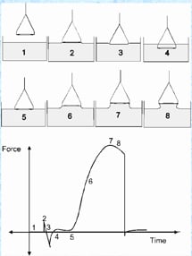 duNouy Ring Method