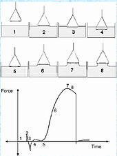 duNouy Ring Process