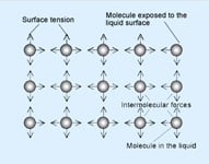 Forces on Liquid Molecules