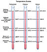 Temperature Scales