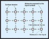 Surface_tension_Graphic-264180-edited