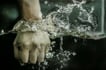 Hands in Water 