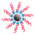 Micelle diagram