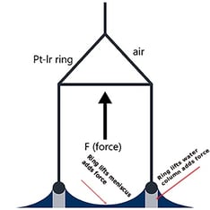Ring_Forces_and_measurement_For_blog.jpg