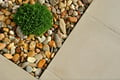 Rock Garden for sieves