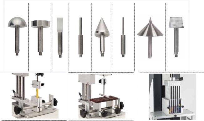 probes and cells.jpg